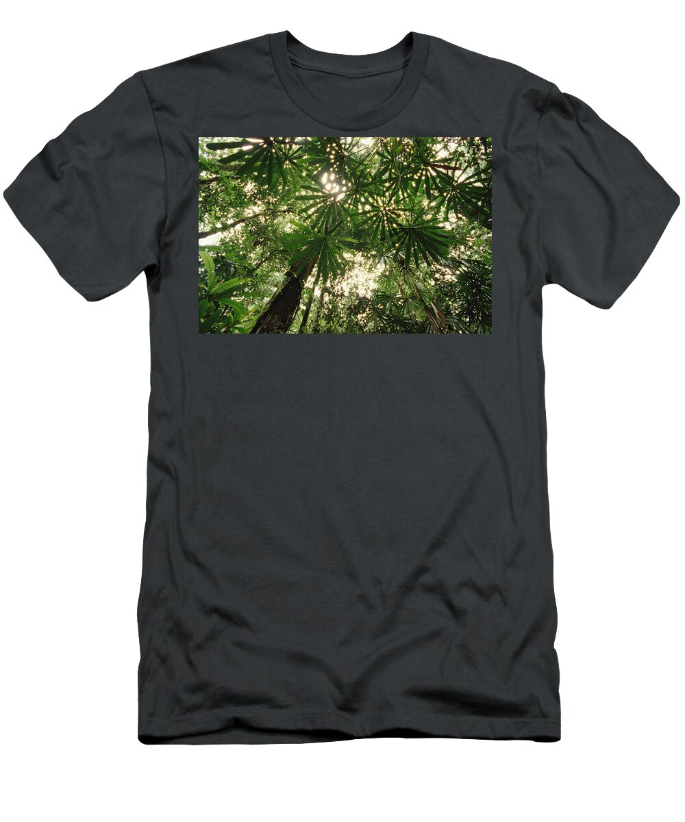 00200724 T-Shirt featuring the photograph Lowland Tropical Rainforest Fan Palms by Gerry Ellis