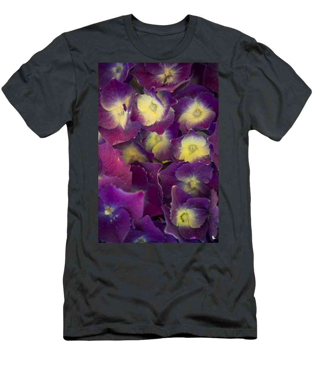 Hydrangeas T-Shirt featuring the photograph Lucky Seven Hydrangeas by Scott Campbell