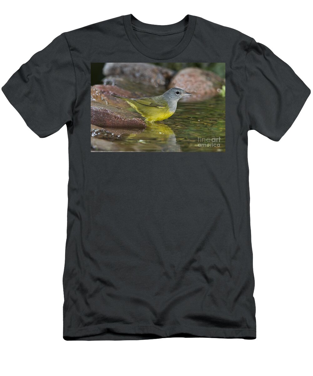 Macgillivray's Warbler T-Shirt featuring the photograph Macgillivrays Warbler by Anthony Mercieca