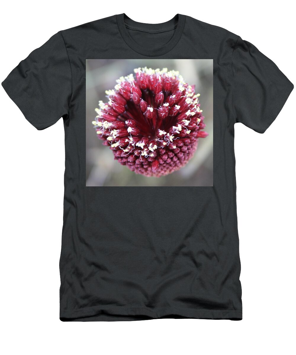 Allium Sphaerocephalon T-Shirt featuring the photograph Macro of Round-Headed Leek Flower Allium Sphaerocephalon by Taiche Acrylic Art