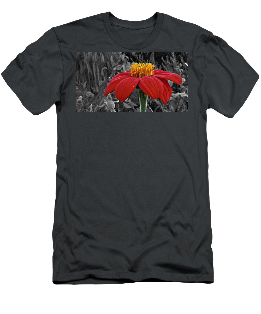 Magenta T-Shirt featuring the photograph Magenta Zinnia Flower 9093 by David Dehner