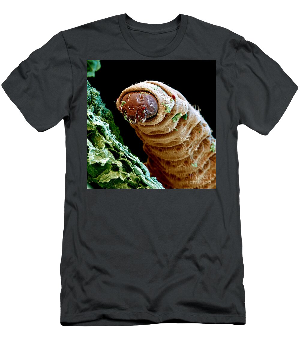 Maggot T-Shirt by Eye of Science - Pixels
