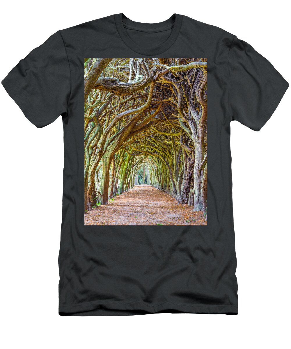 Botany T-Shirt featuring the photograph Magic Yew by Semmick Photo