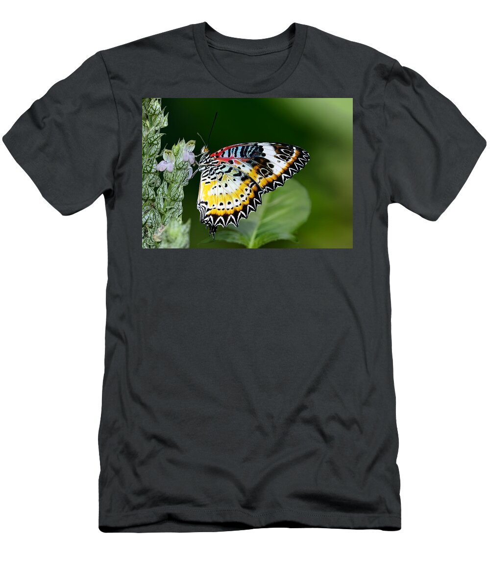 Dodsworth T-Shirt featuring the photograph Malay Lacewing Butterfly by Bill Dodsworth