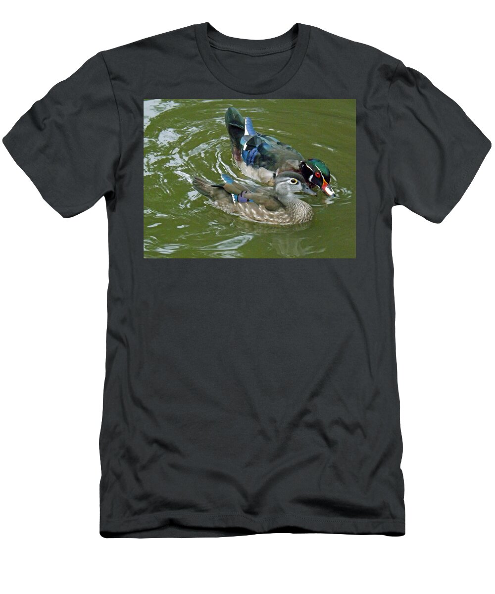 Duck T-Shirt featuring the photograph Male and female Wood Ducks by Brenda Brown