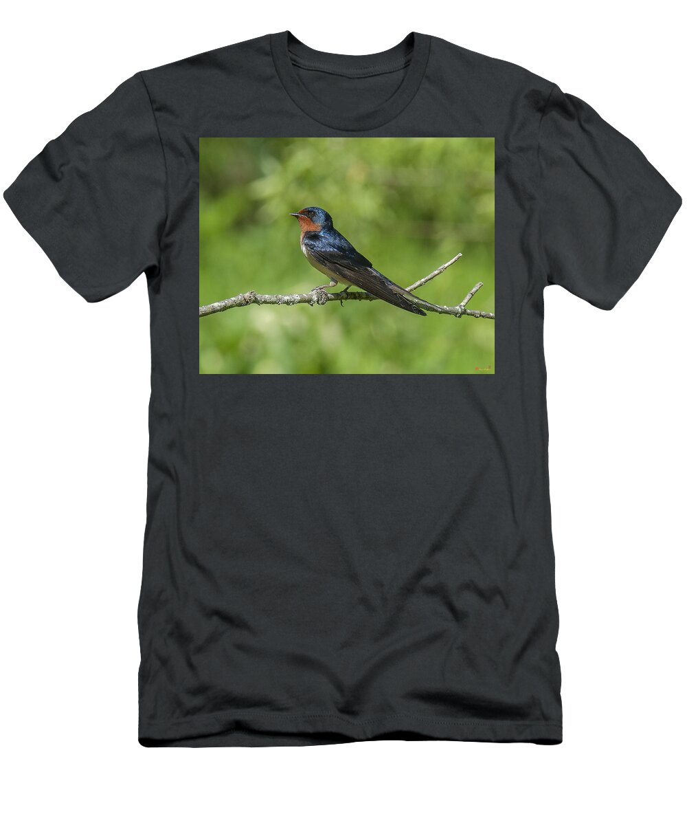 Marsh T-Shirt featuring the photograph Male Barn Swallow Hirundo rustica DSB262 by Gerry Gantt