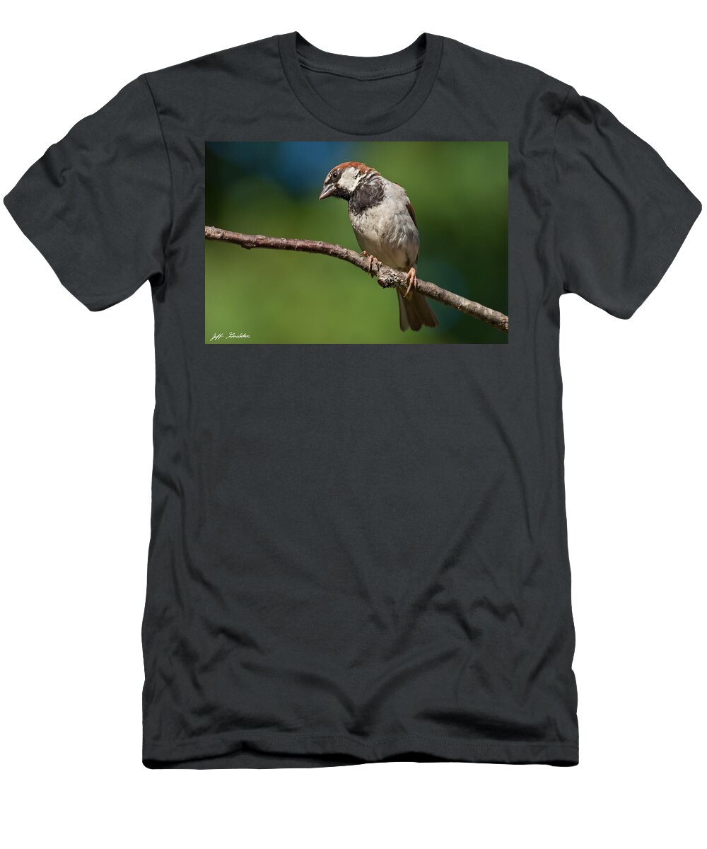Animal T-Shirt featuring the photograph Male House Sparrow Perched in a Tree by Jeff Goulden