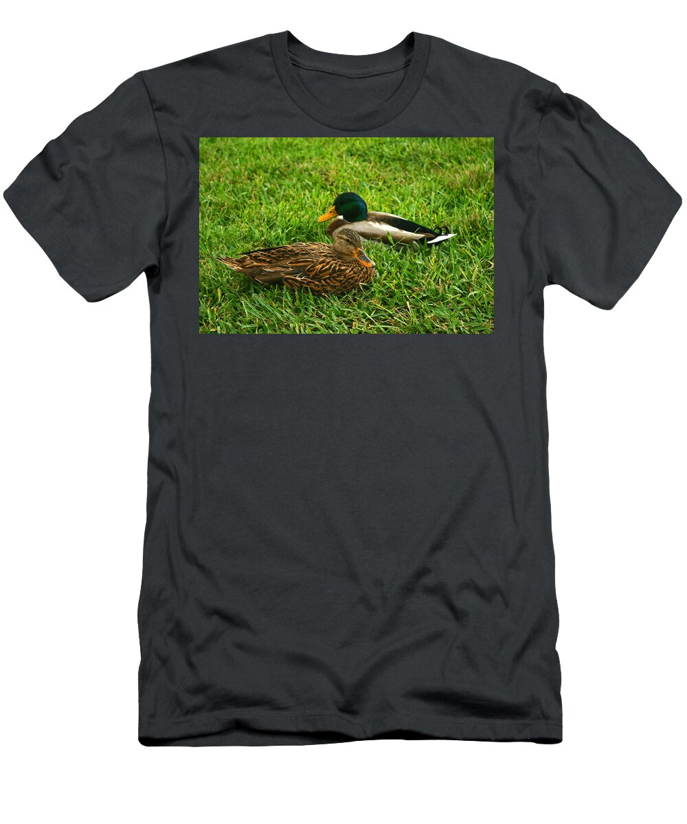 Duck T-Shirt featuring the photograph Mallard Duck couple by Michael Porchik