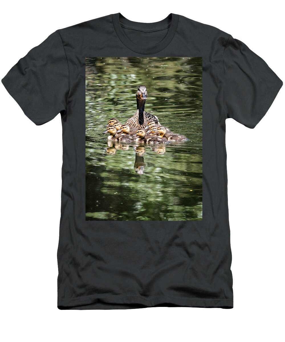 Anas Platyrhynchos T-Shirt featuring the photograph Mallard Hen with Ducklings and Reflection by Dawn Key