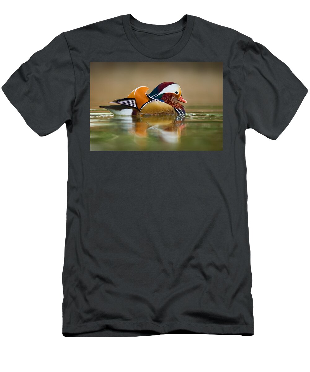 Mandarin T-Shirt featuring the photograph Mandarin by Yuri Peress