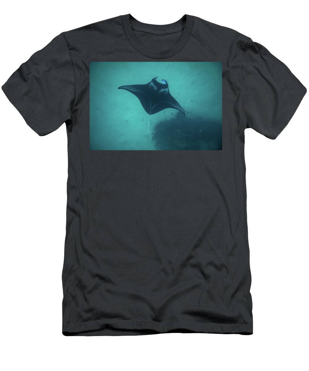 Photography T-Shirt featuring the photograph Manta Ray Swimming In The Pacific by Panoramic Images