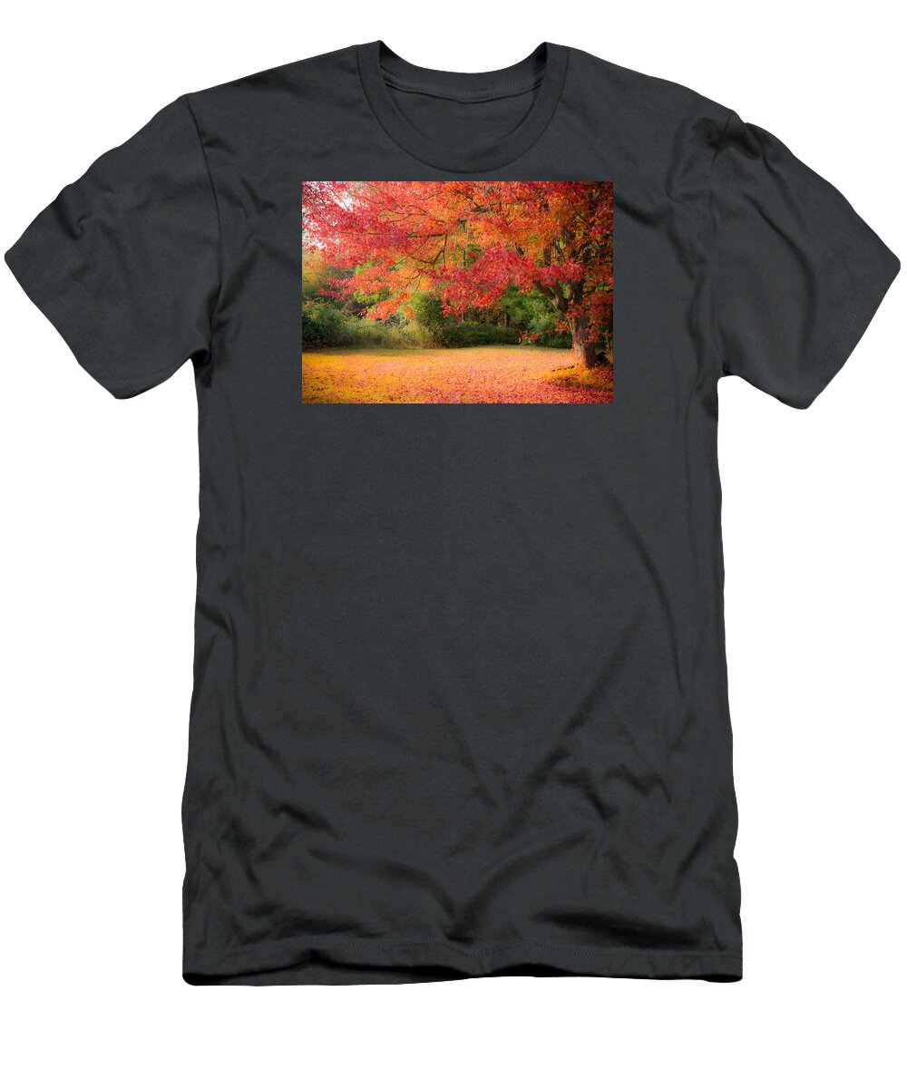 Rhode Island Fall Foliage T-Shirt featuring the photograph Maple In Red And Orange by Jeff Folger