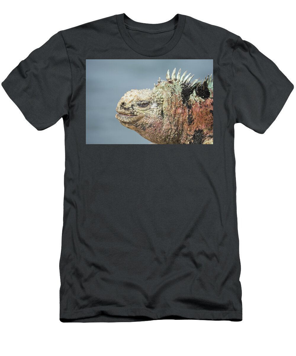 Tui De Roy T-Shirt featuring the photograph Marine Iguana Male In Breeding Colors by Tui De Roy