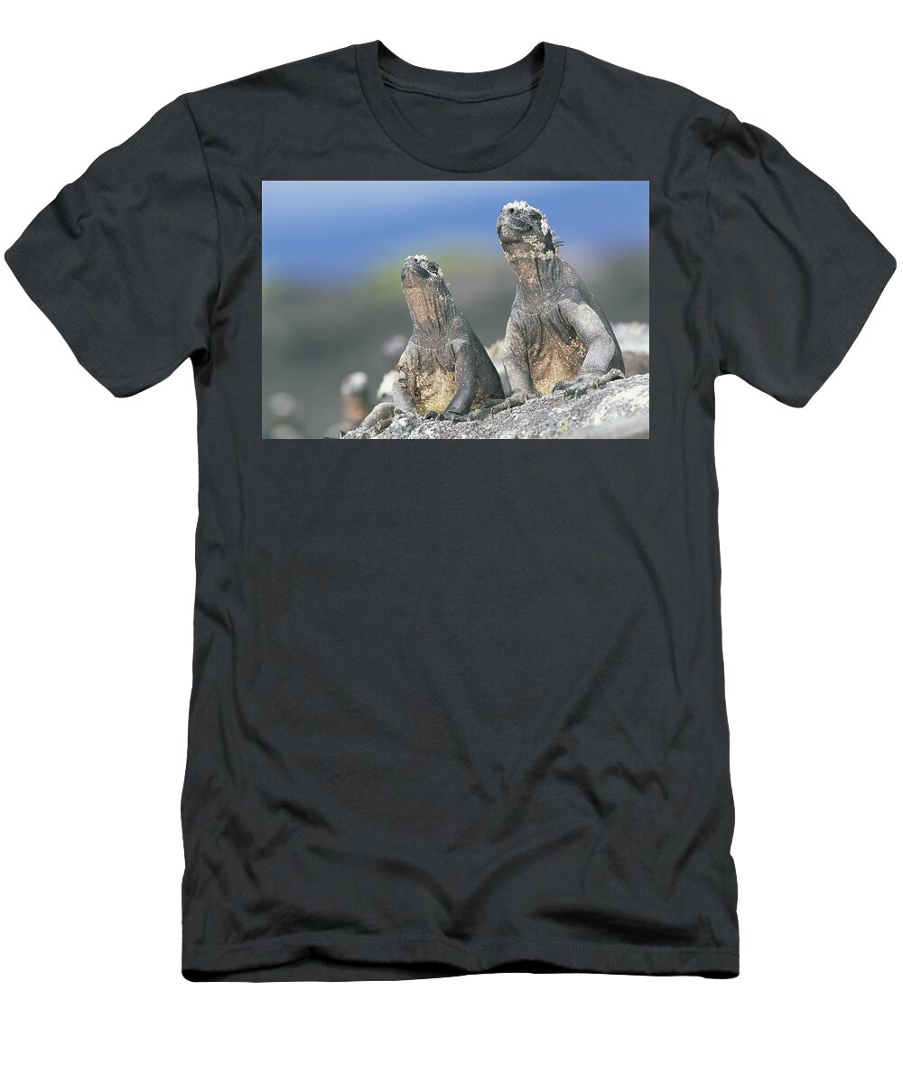 Feb0514 T-Shirt featuring the photograph Marine Iguanas Sky Pointing To Keep by Tui De Roy