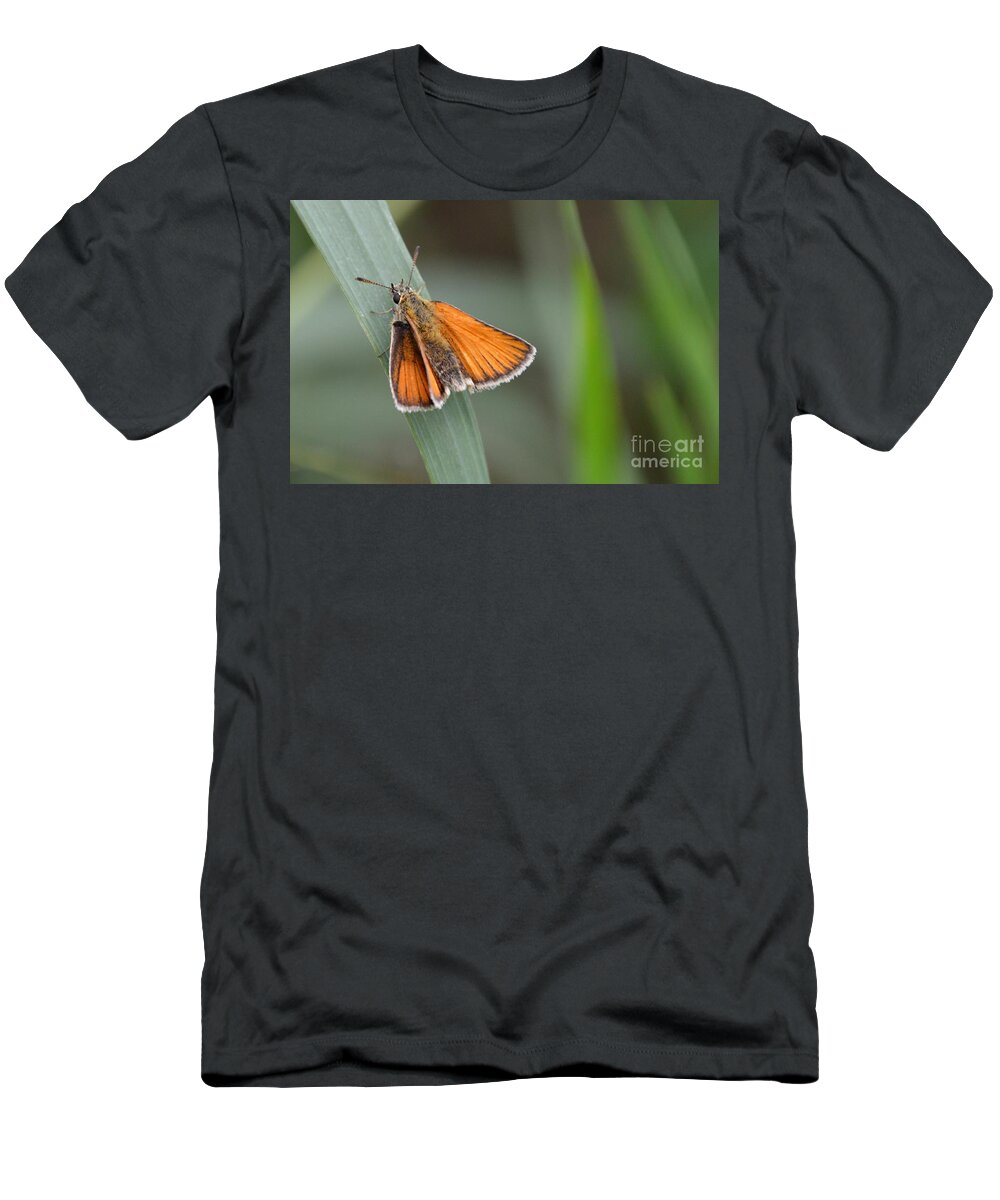 March T-Shirt featuring the photograph Marsh Moth by Lynellen Nielsen