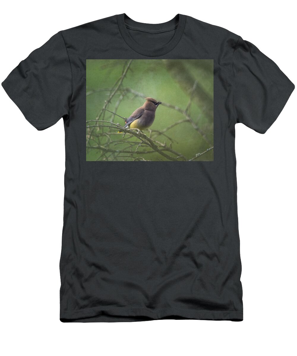 Cedar Waxwing T-Shirt featuring the photograph Masked Beauty by Sue Capuano