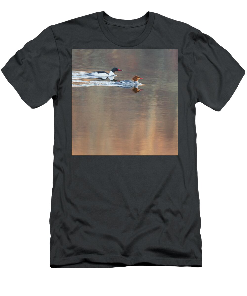 Reflection T-Shirt featuring the photograph Merganser Morning Square by Bill Wakeley
