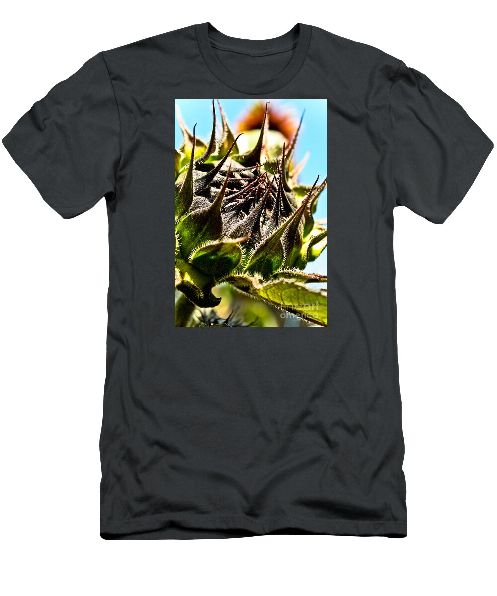 Sun T-Shirt featuring the photograph Mexican Sunflower by Joel Loftus