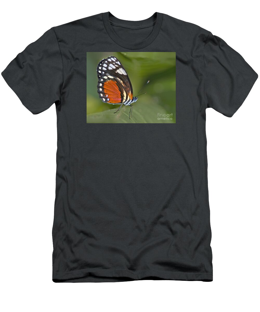 Festblues T-Shirt featuring the photograph Micro Wings... by Nina Stavlund