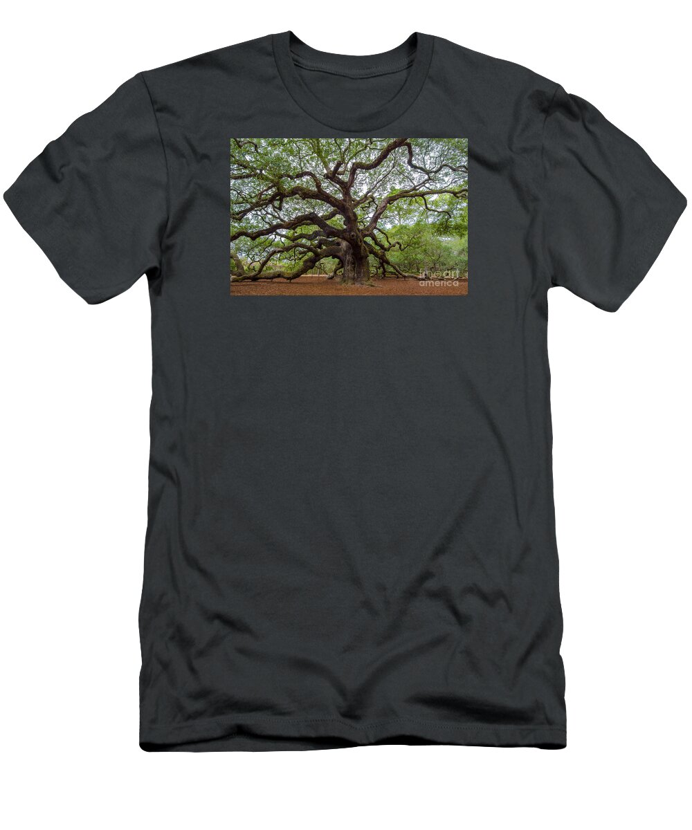 Angel Oak Tree T-Shirt featuring the photograph Mighty Oak by Dale Powell