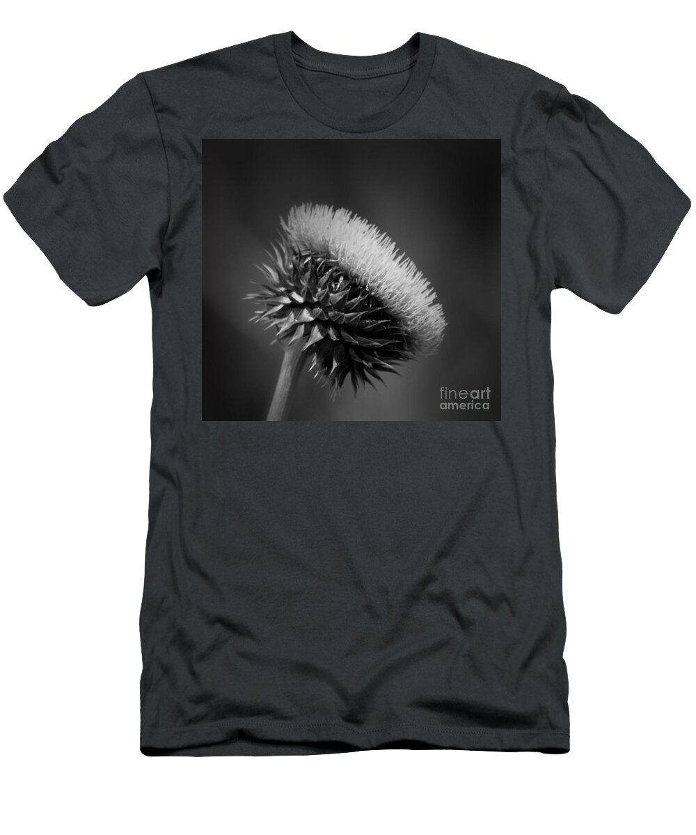 Milk Thistle Bw T-Shirt featuring the photograph Milk Thistle BW by Maria Urso