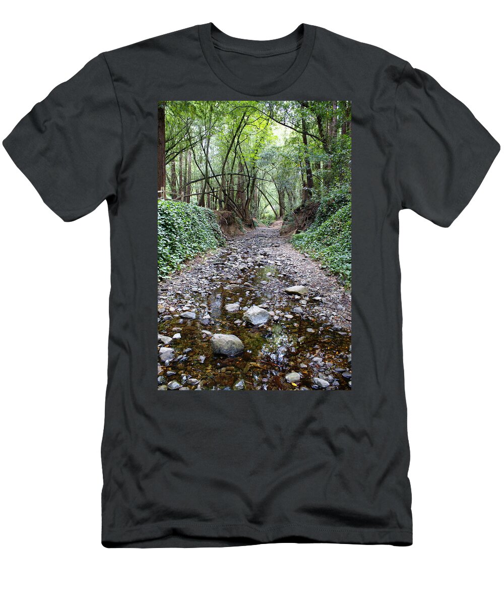 Tamalpais T-Shirt featuring the photograph Miller Grove 2013 Vertical by Ben Upham III
