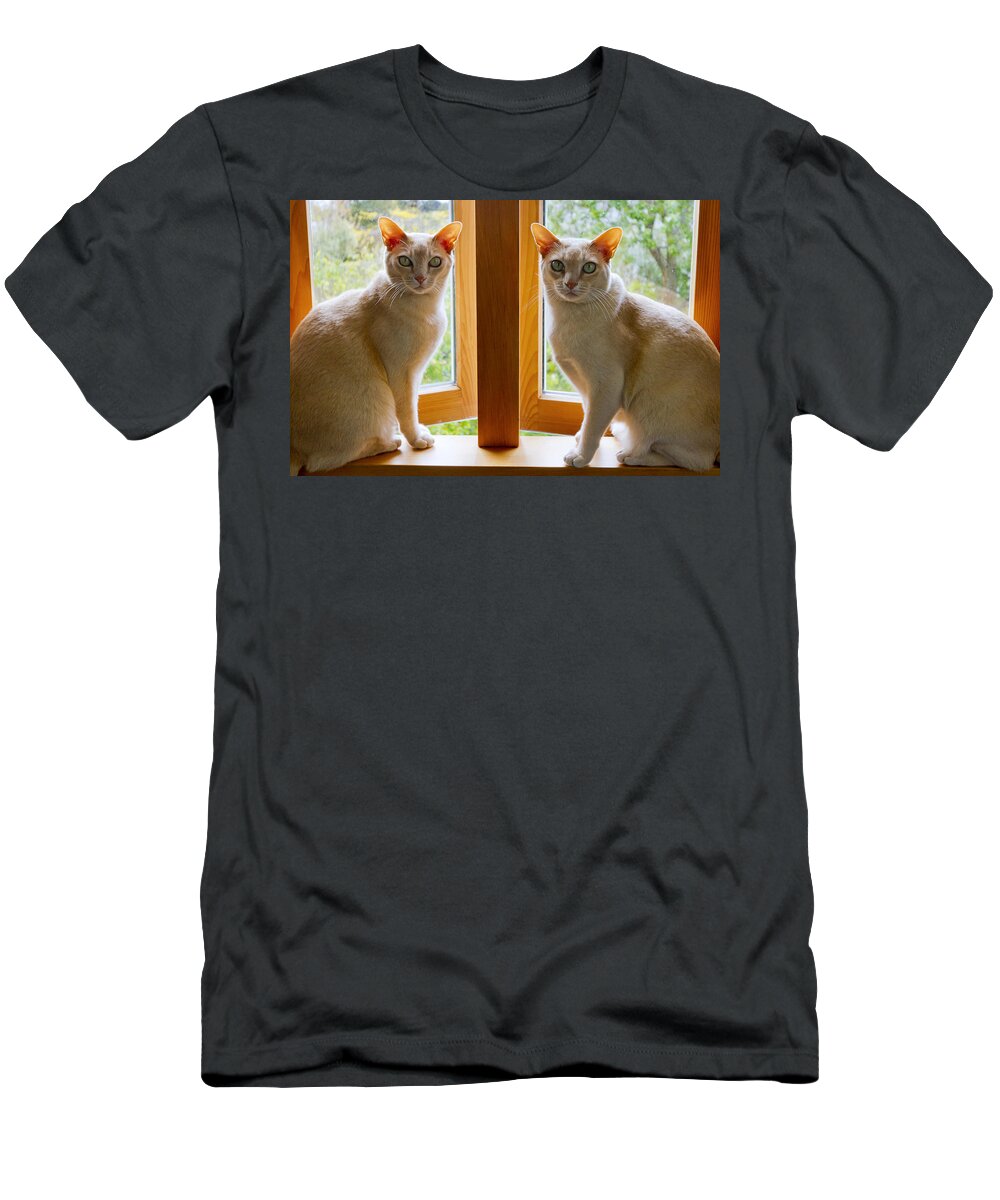 Cats T-Shirt featuring the photograph Mirrored cats by Jenny Setchell