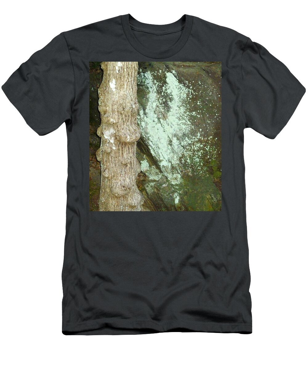 Mold T-Shirt featuring the photograph Mold on Rock by Pete Trenholm