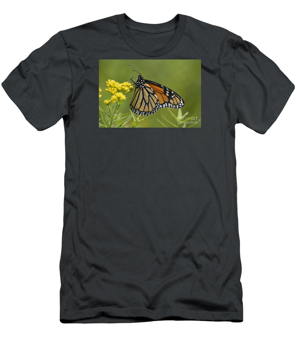 Wildflowers T-Shirt featuring the photograph Monarch 2014 by Randy Bodkins