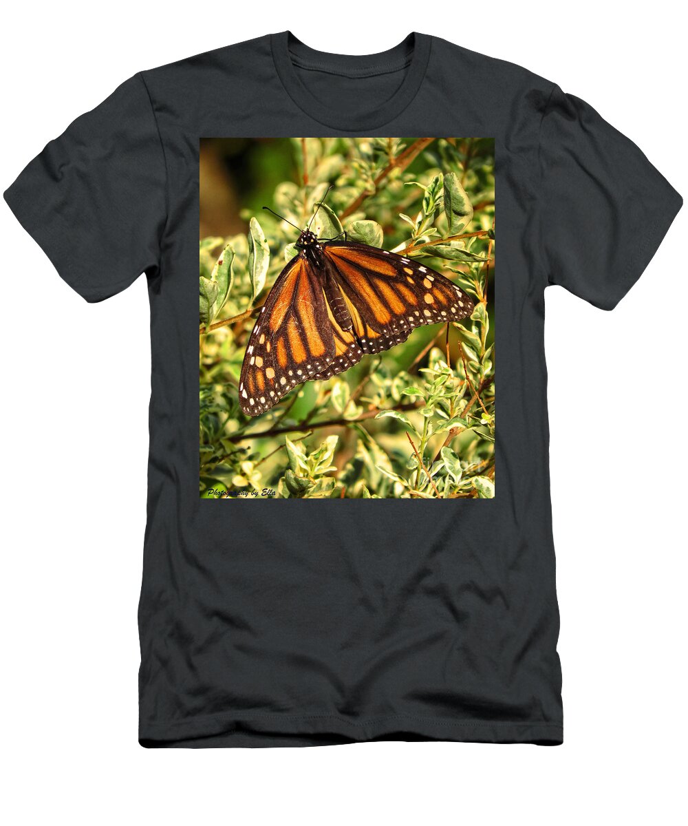 Monarch Butterfly T-Shirt featuring the photograph Monarch In The Journey by Ella Kaye Dickey