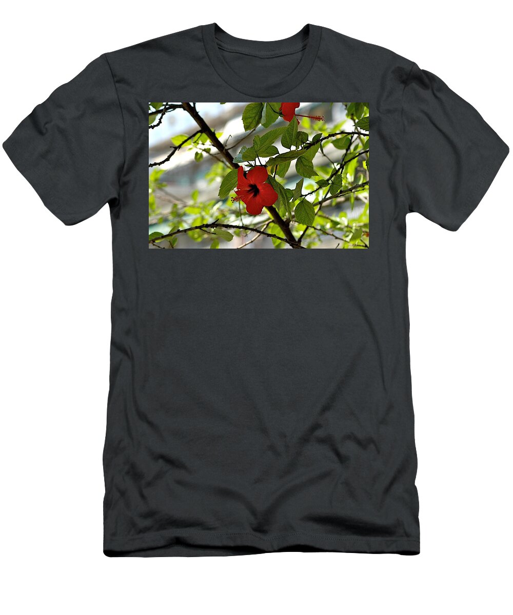 Croatia T-Shirt featuring the photograph Monastery by Joseph Yarbrough