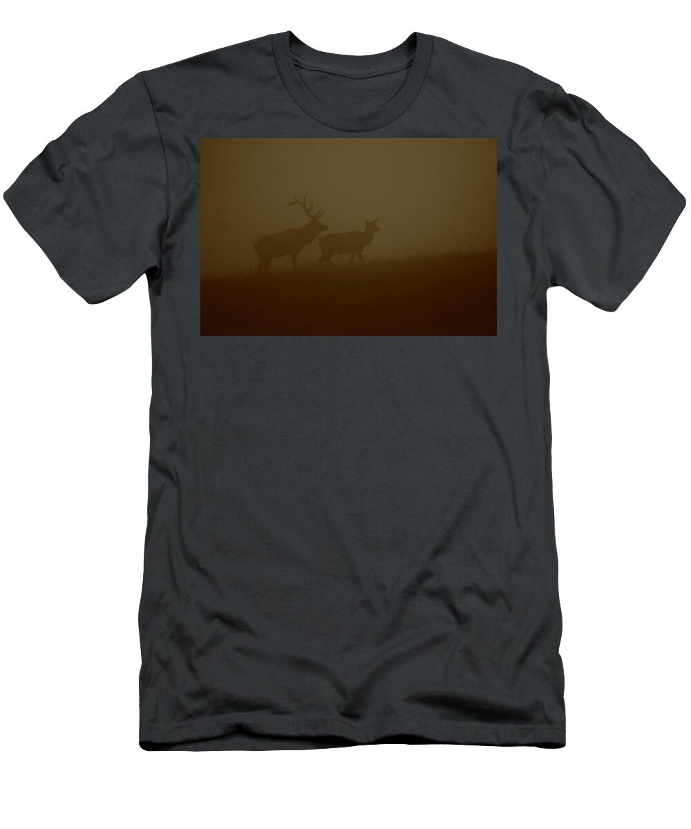 Elk T-Shirt featuring the photograph Moody Misty Morning by Bruce J Robinson
