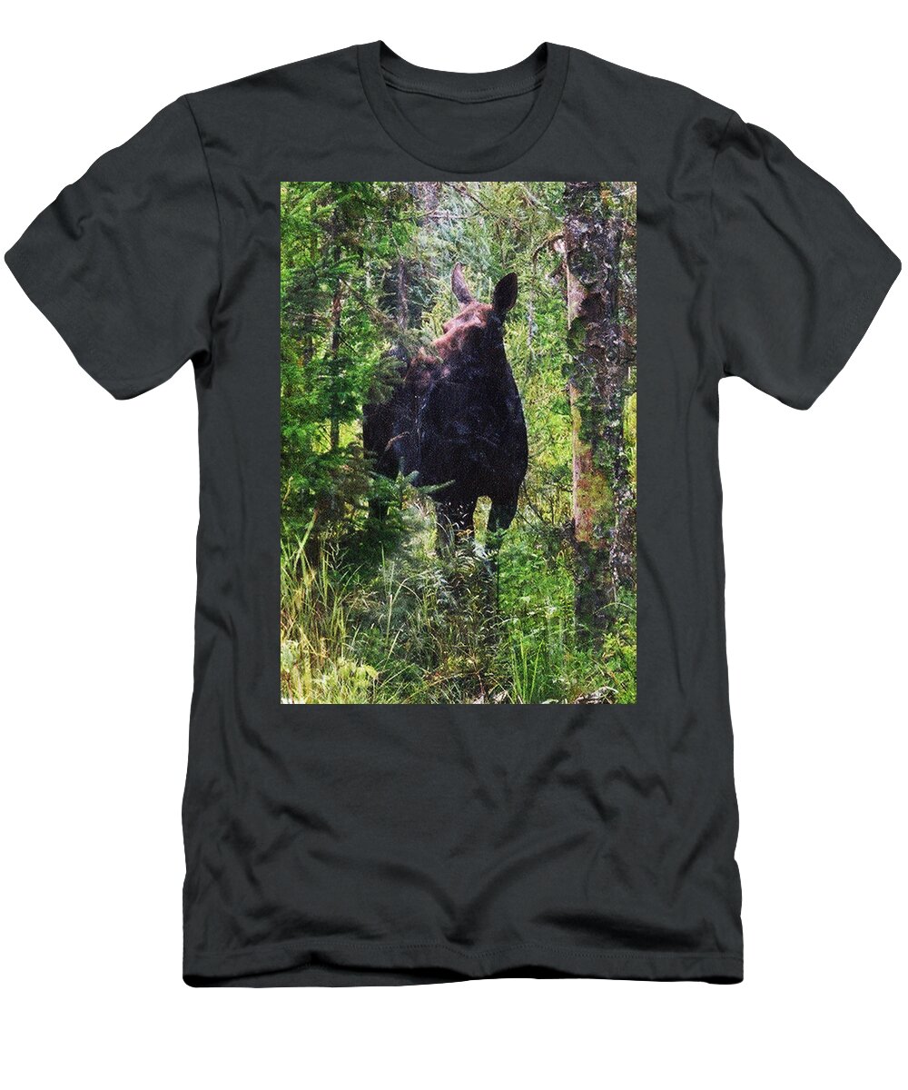 Moose T-Shirt featuring the photograph Moose Near the Androscoggin River by Marie Jamieson