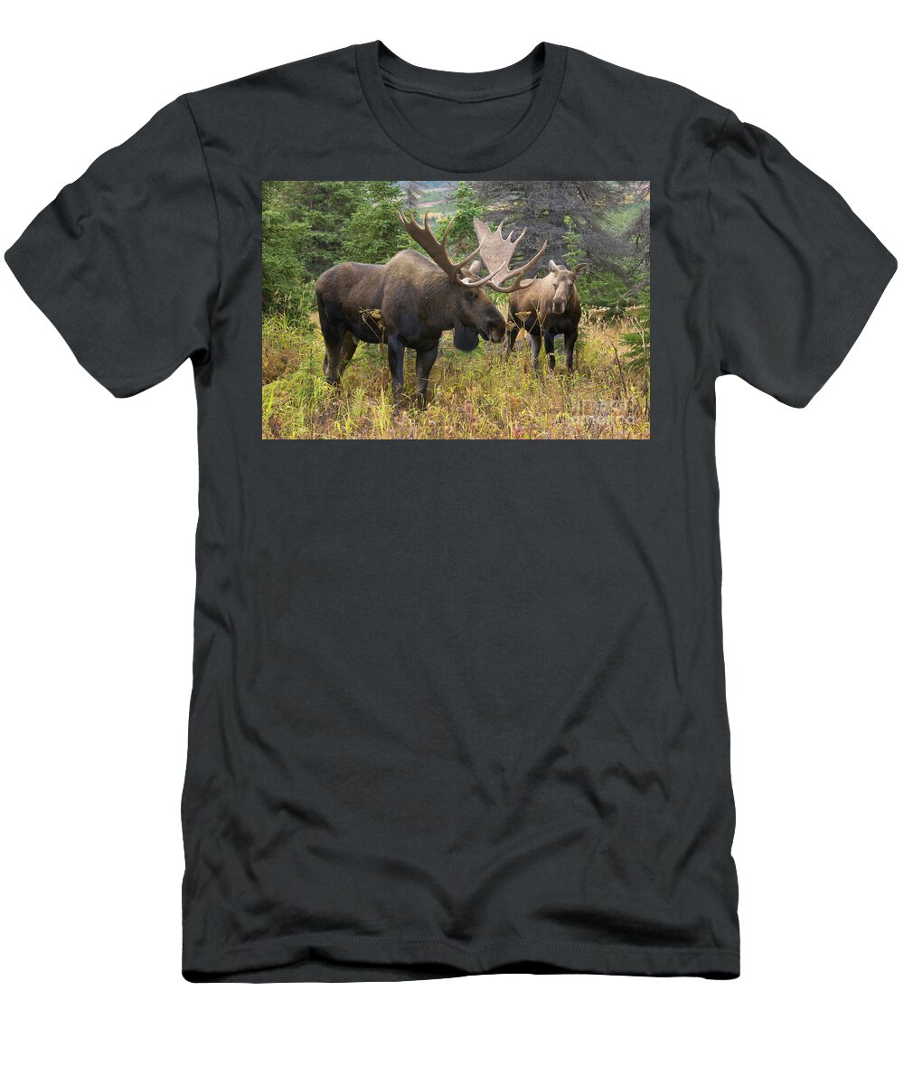00440992 T-Shirt featuring the photograph Moose in Chugach State Park by Yva Momatiuk John Eastcott