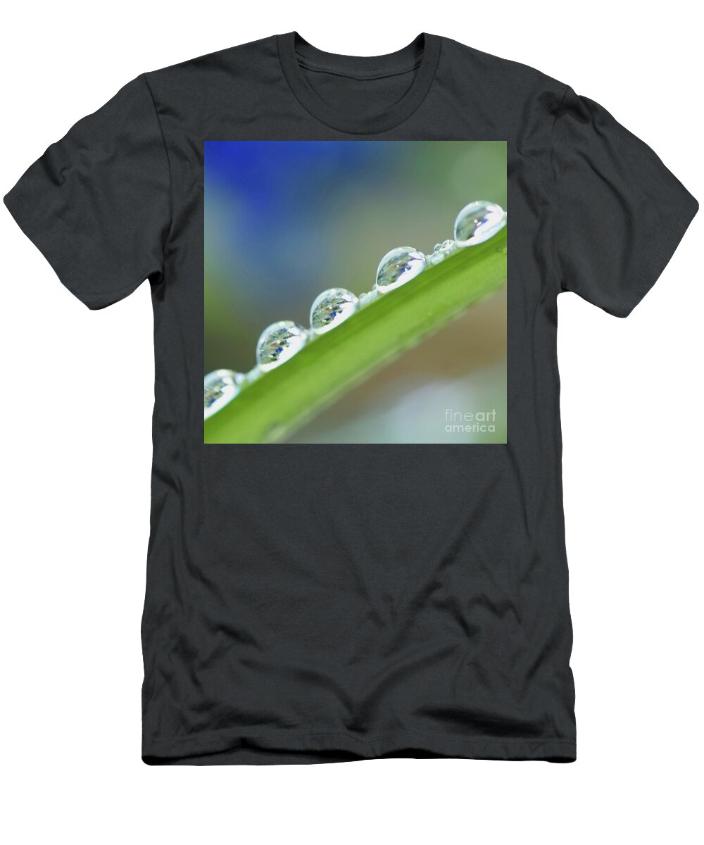 Drop T-Shirt featuring the photograph Morning dew drops by Heiko Koehrer-Wagner