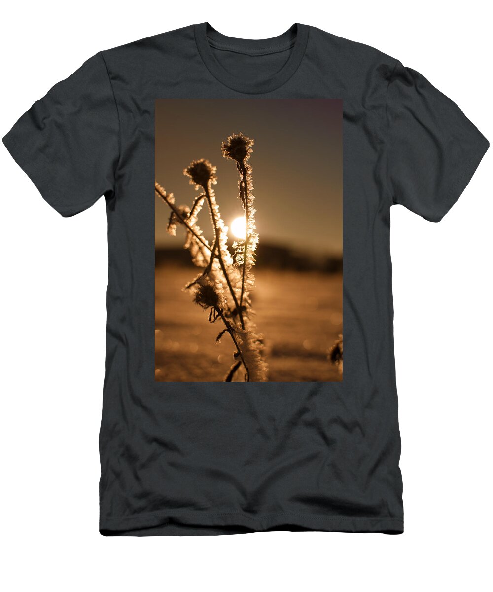 Wald T-Shirt featuring the photograph Morning Walk by Miguel Winterpacht