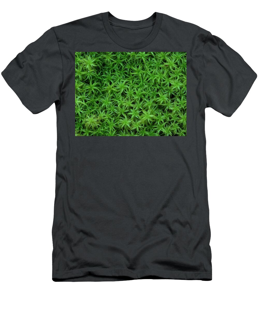 Atrichum Sp. T-Shirt featuring the photograph Moss by Daniel Reed