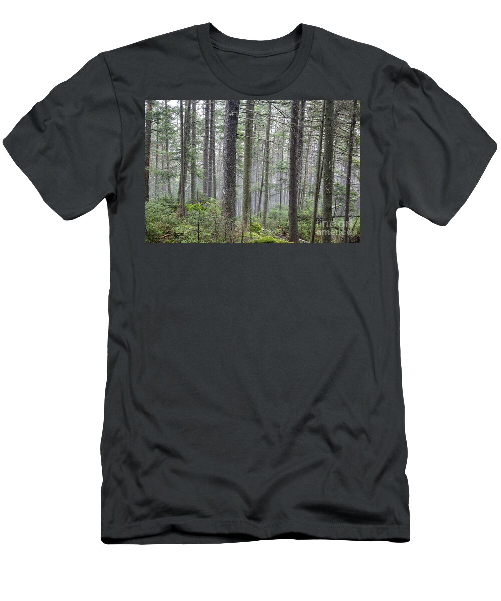 Ecosystem T-Shirt featuring the photograph Mount Jim - Kinsman Notch New Hampshire by Erin Paul Donovan