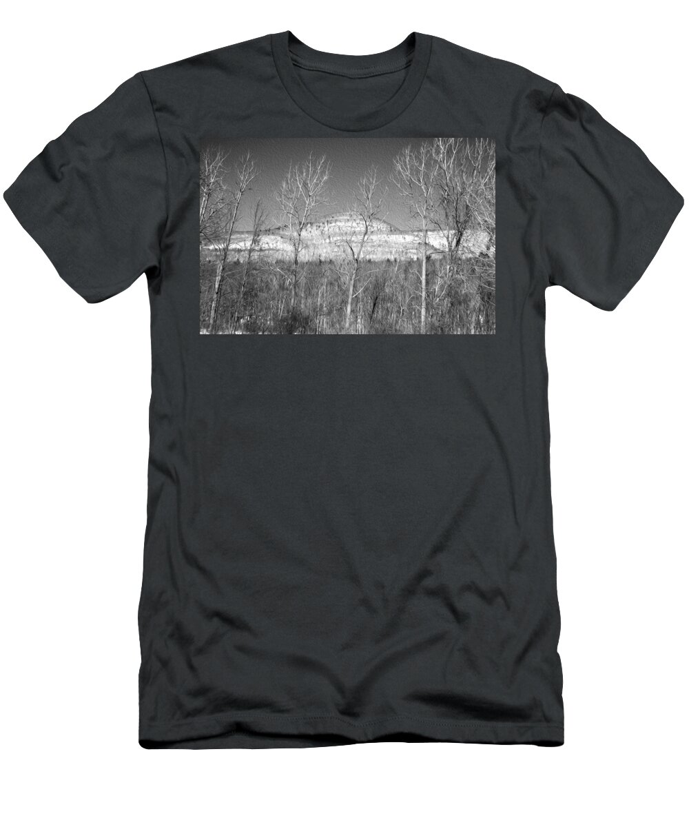 Mountain T-Shirt featuring the photograph Mountain through the trees by Tracy Winter