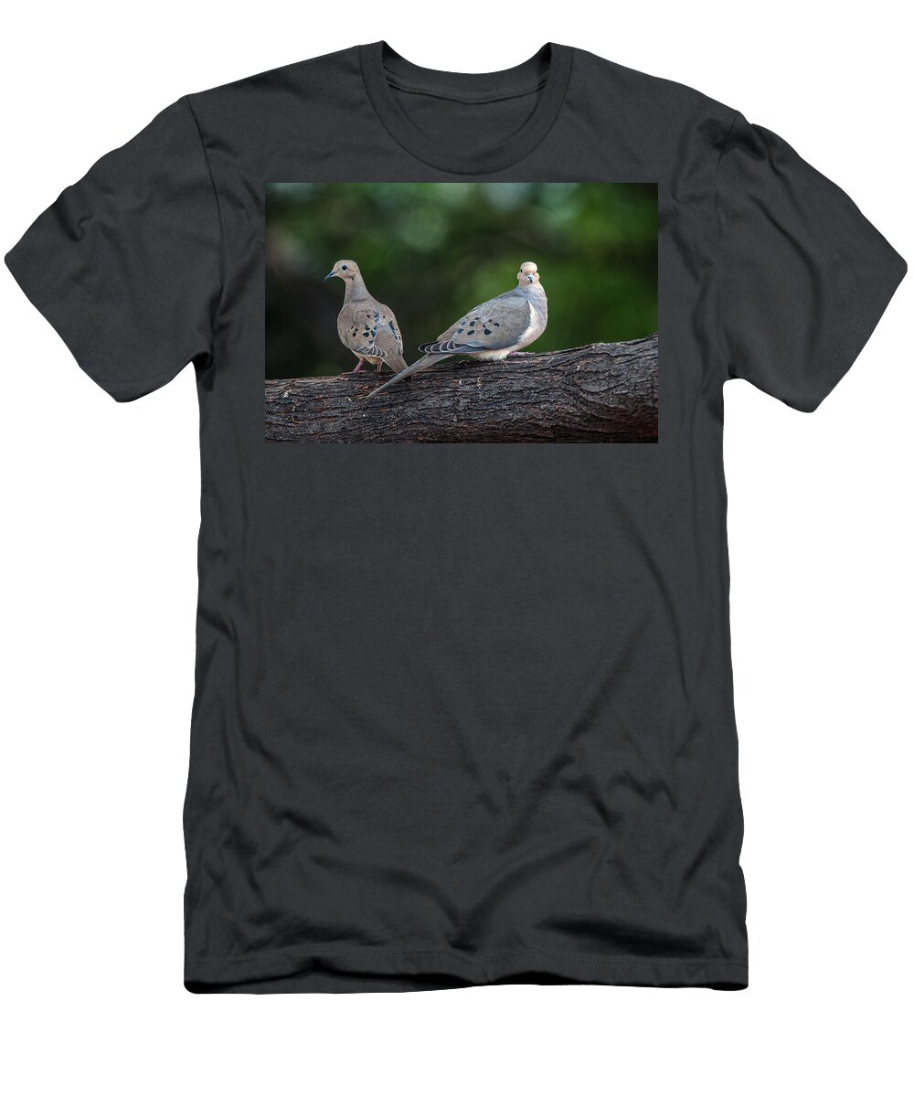 Mourning Doves T-Shirt featuring the photograph Mourning Doves by Tam Ryan
