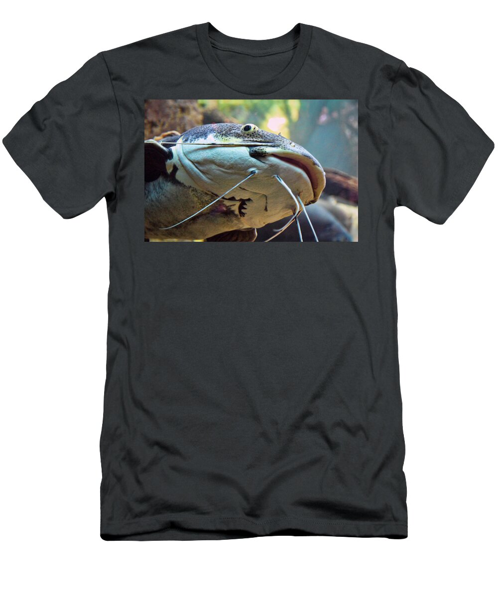  Aquariums T-Shirt featuring the photograph Mud Cat by Tim Stanley