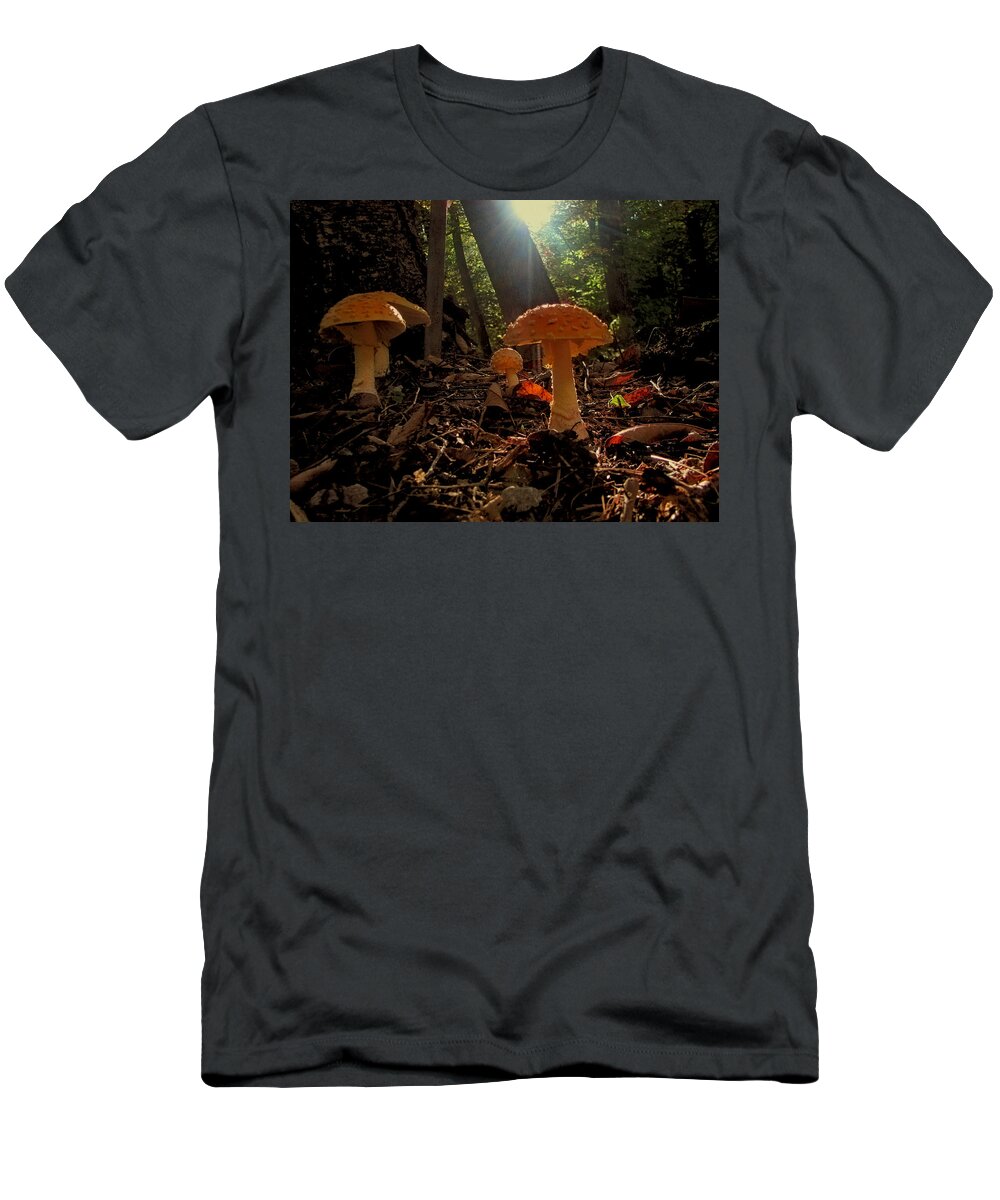 Mushrooms T-Shirt featuring the photograph Mushroom Morning by Gary Blackman