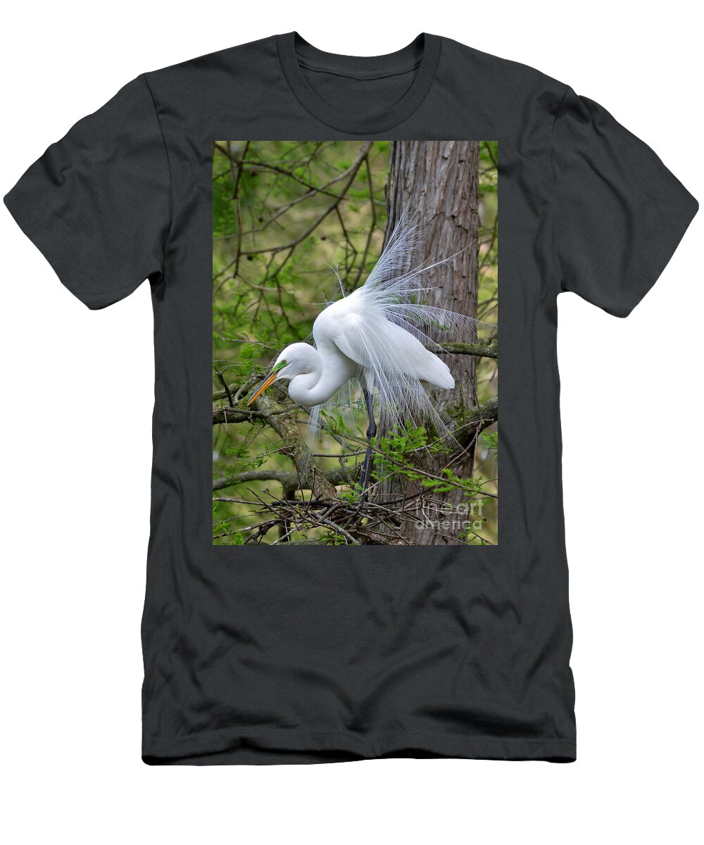 Egret T-Shirt featuring the photograph My Beautiful Plumage by Kathy Baccari