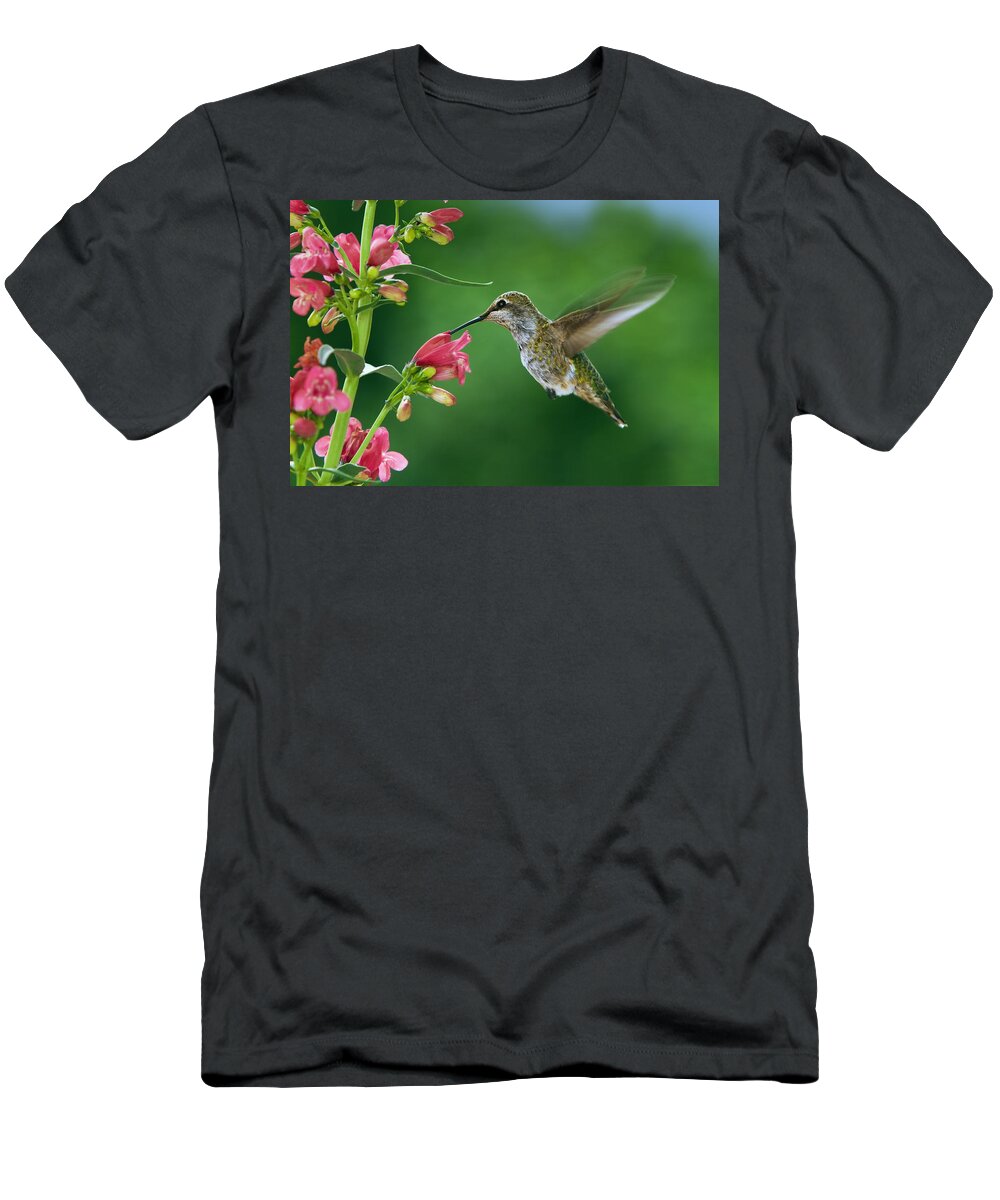 Hummingbird T-Shirt featuring the photograph Her favorite flowers by William Lee