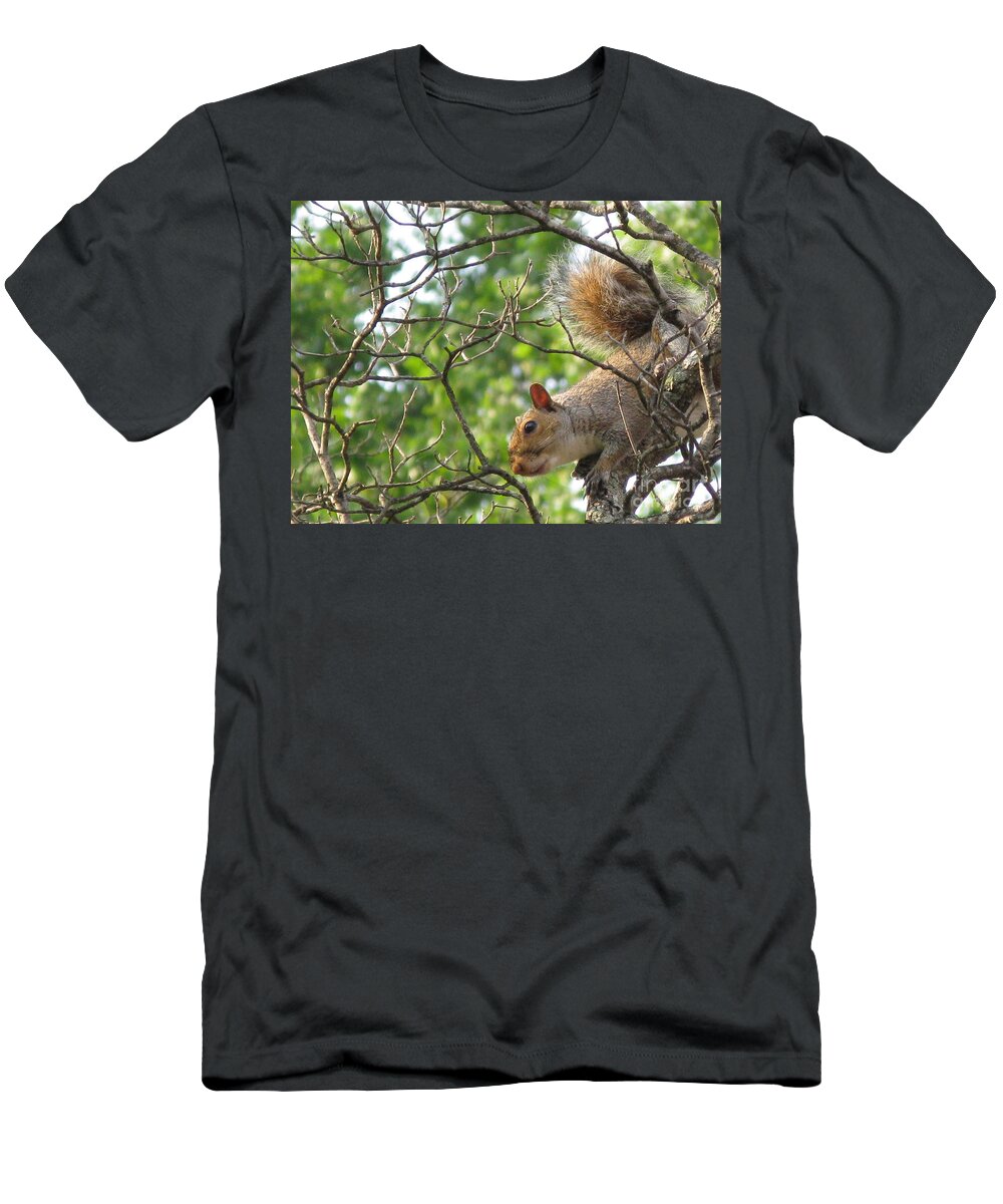 American T-Shirt featuring the photograph My First American Squirrel by Ausra Huntington nee Paulauskaite