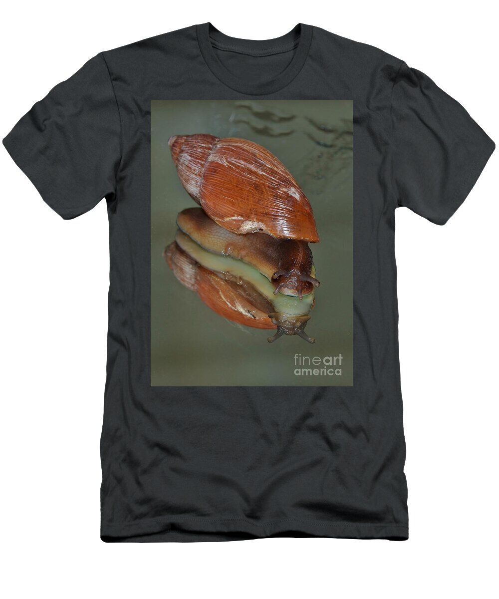 Snail T-Shirt featuring the photograph My Mother Loves My Face by Kathy Baccari