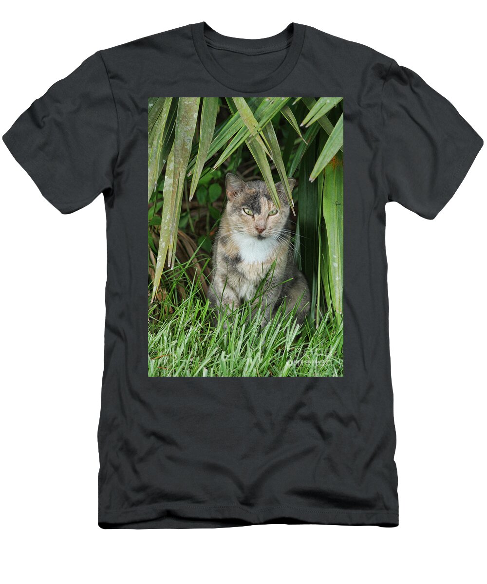 Cat T-Shirt featuring the photograph My Private Place by Deborah Benoit