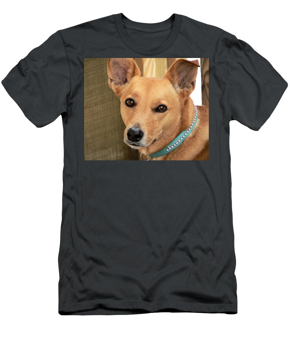 Dog-cookie One T-Shirt featuring the photograph Dog - Cookie One by Kathy K McClellan