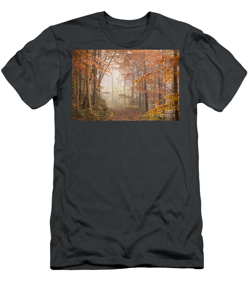 Atmospheric T-Shirt featuring the photograph Mystic Woods by Anne Gilbert