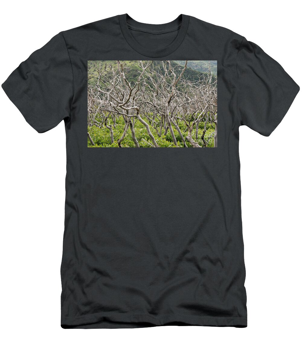 Trees T-Shirt featuring the photograph Naked Ladies Dancing by Mary Carol Story